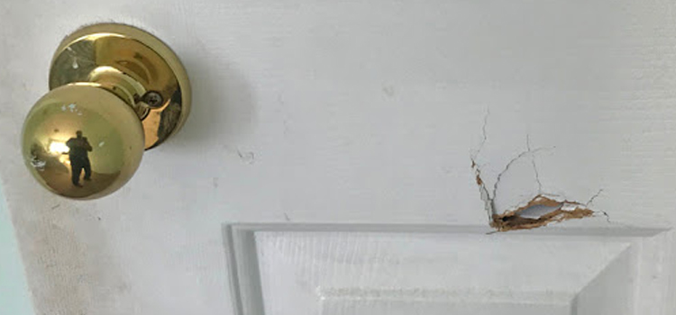 interior door hole repair West Puente Valley